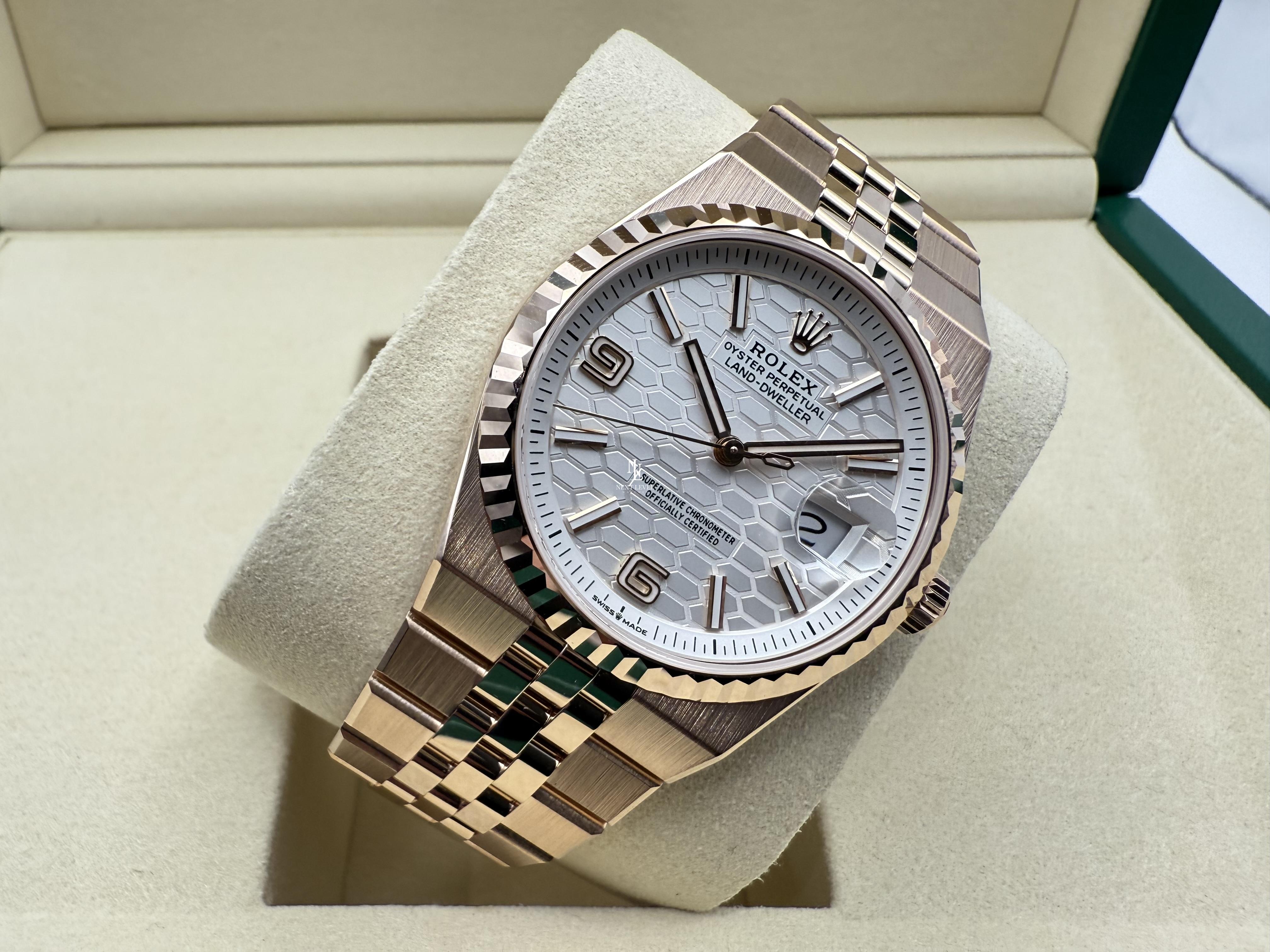 Rolex Land-Dweller 36