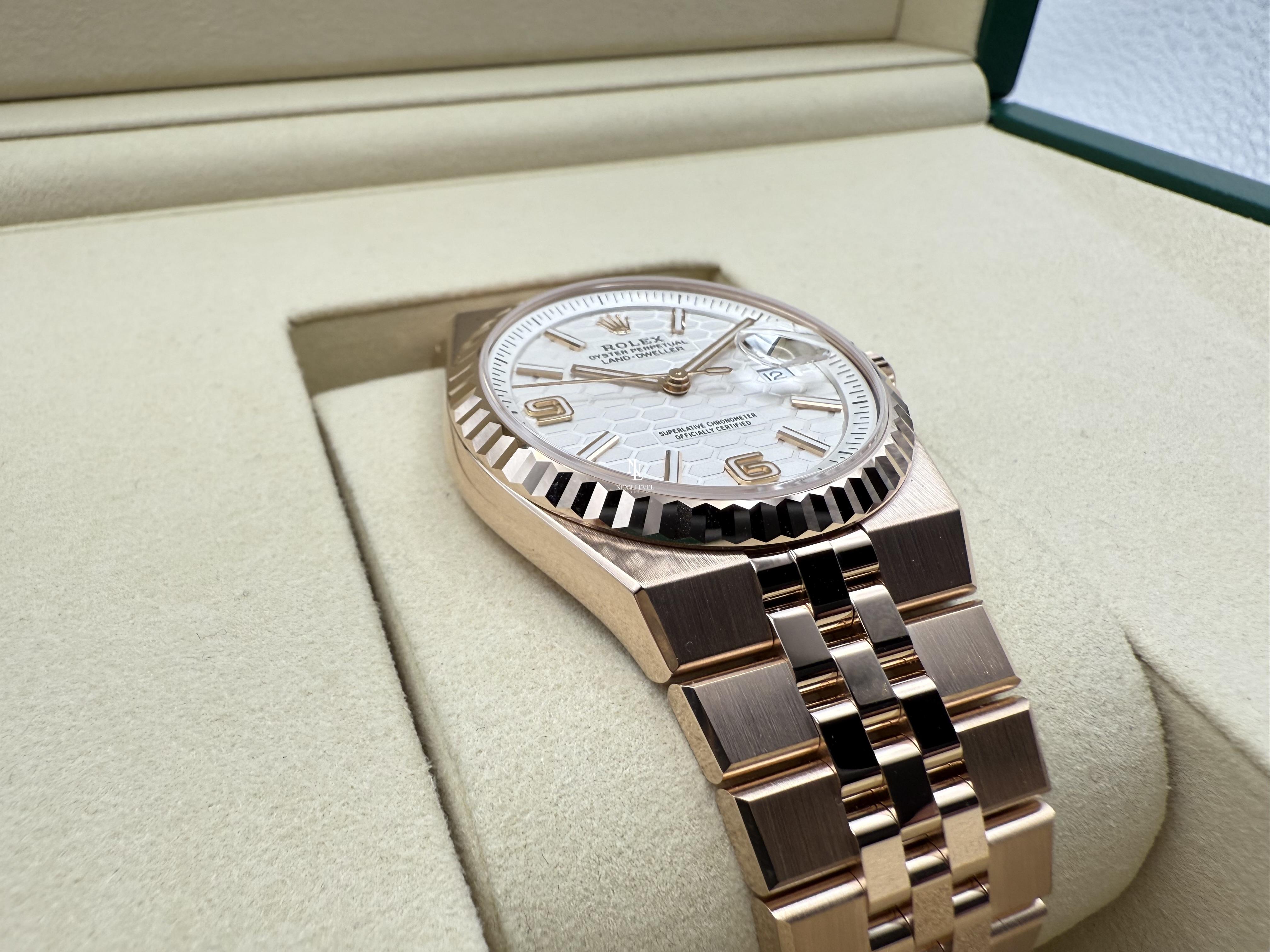 Rolex Land-Dweller 36