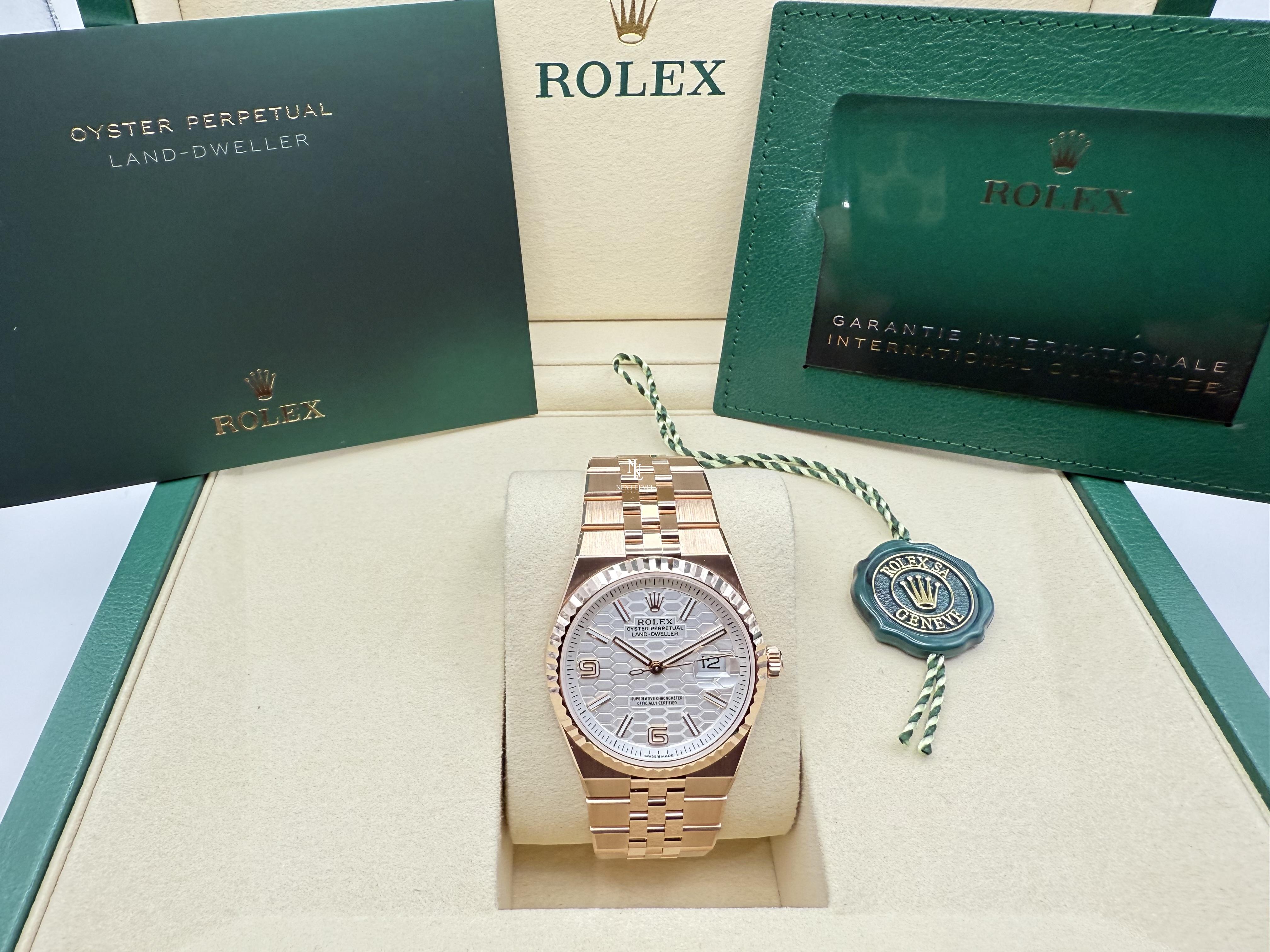 Rolex Land-Dweller 36