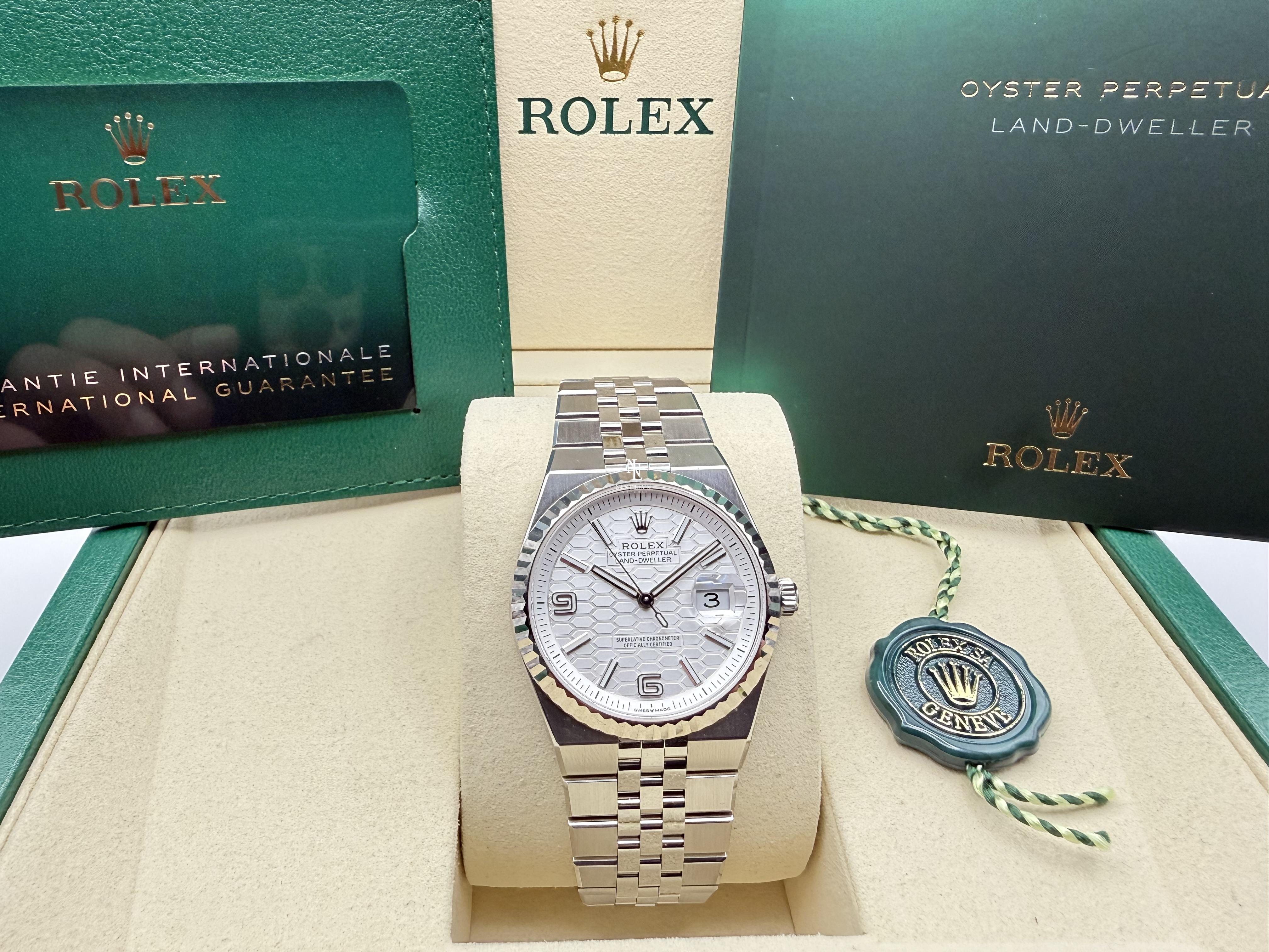 Rolex Land-Dweller 36